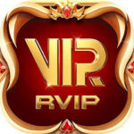 Rvip Game Apk